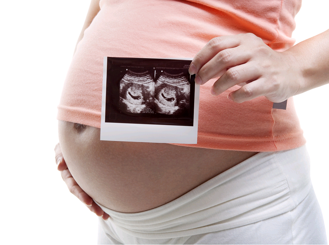 石家庄供精试管婴儿要多久,石家庄朝阳医院取卵后多久短信通知胚胎停止培育