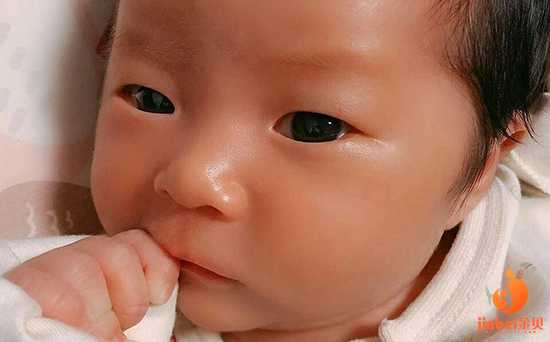 助孕哪家比较可靠_助孕选性别包出生是真的_【荆州哪里做供卵试管婴儿】卵泡